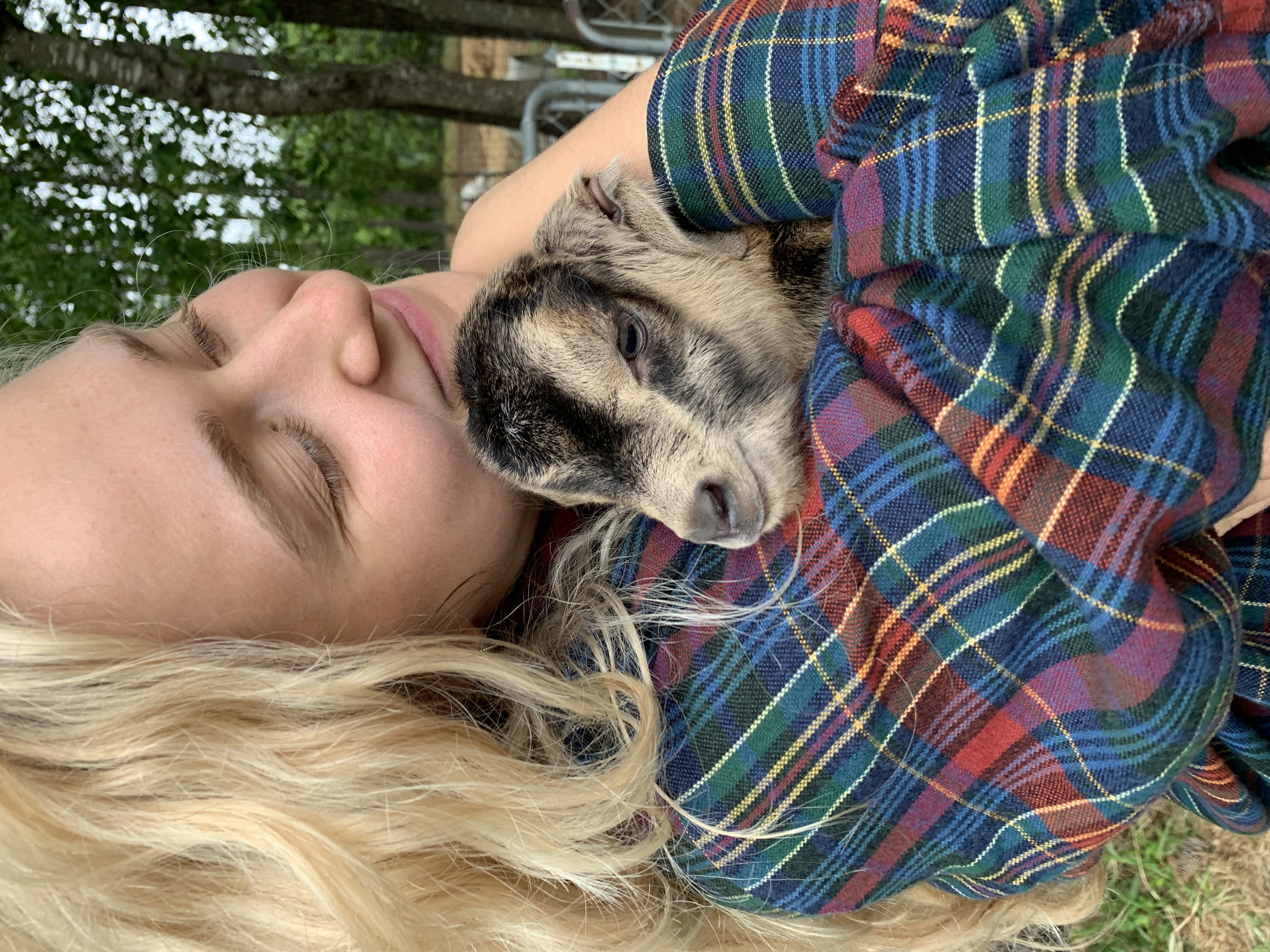 baby goaties